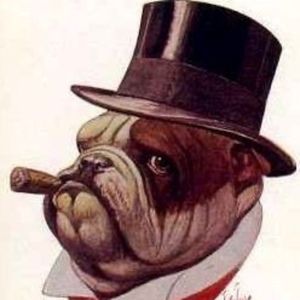 Meet your Posher, Eileen